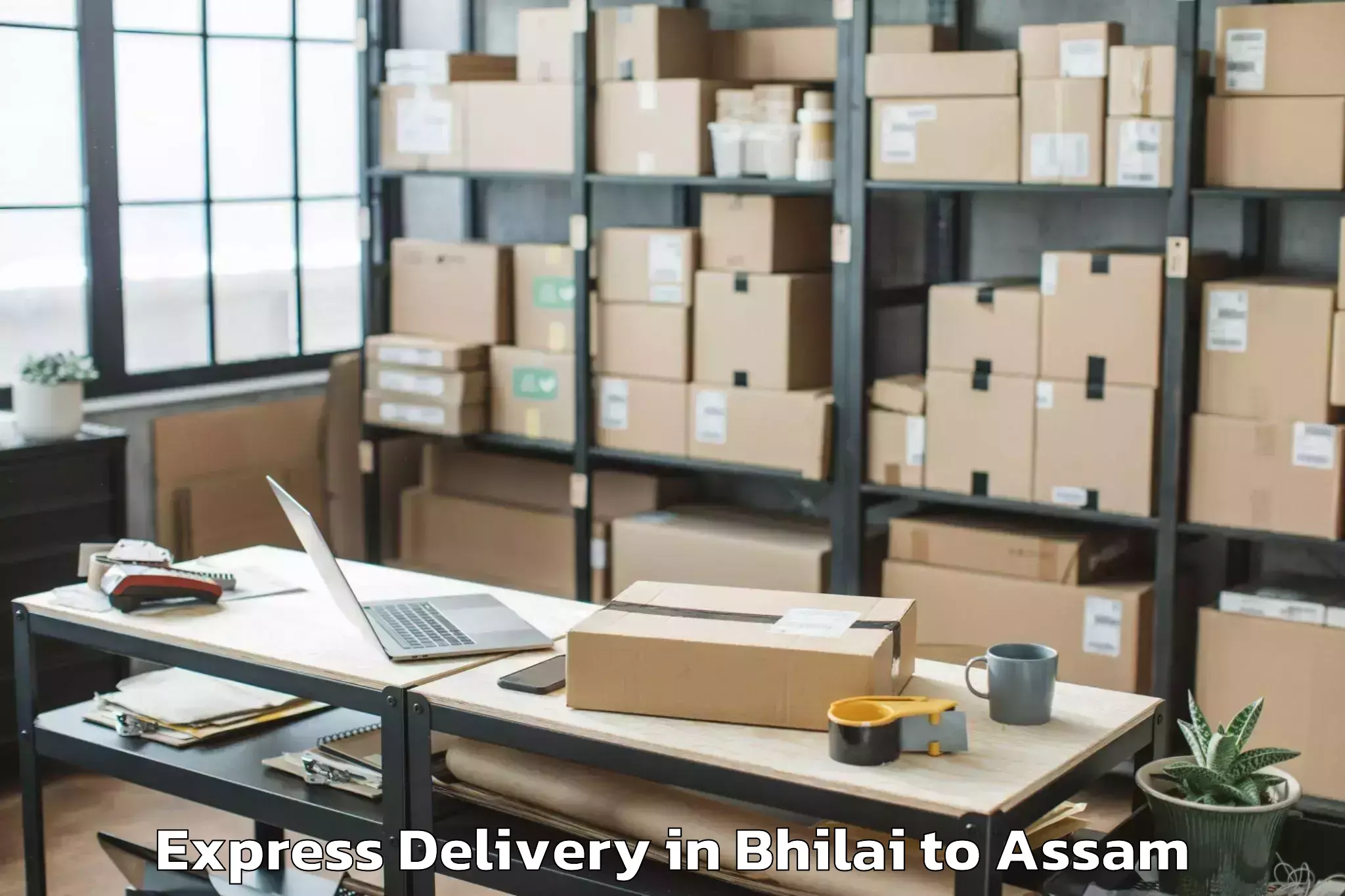 Leading Bhilai to Tezpur University Express Delivery Provider